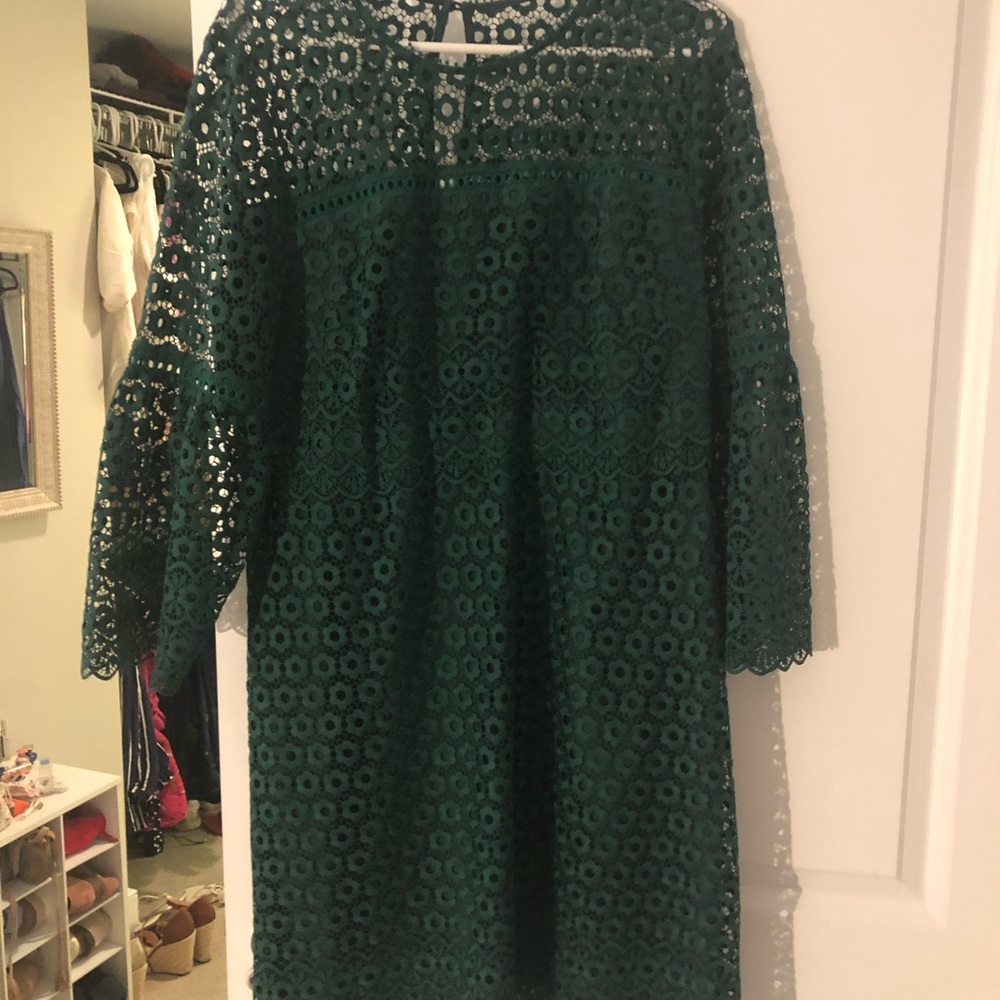 Long sleeve green lace and nude JCrew dress